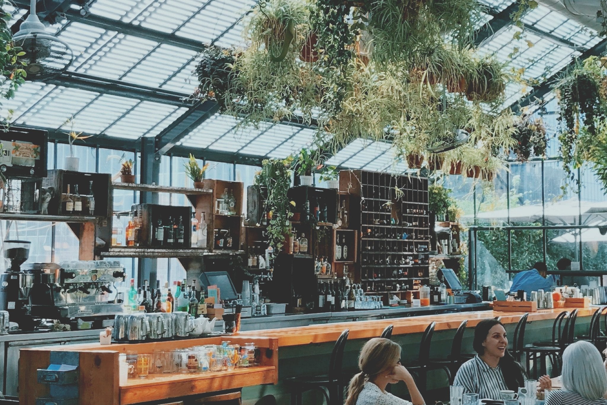Travel: top 5 vegan restaurants in Portland - Tree Myriah