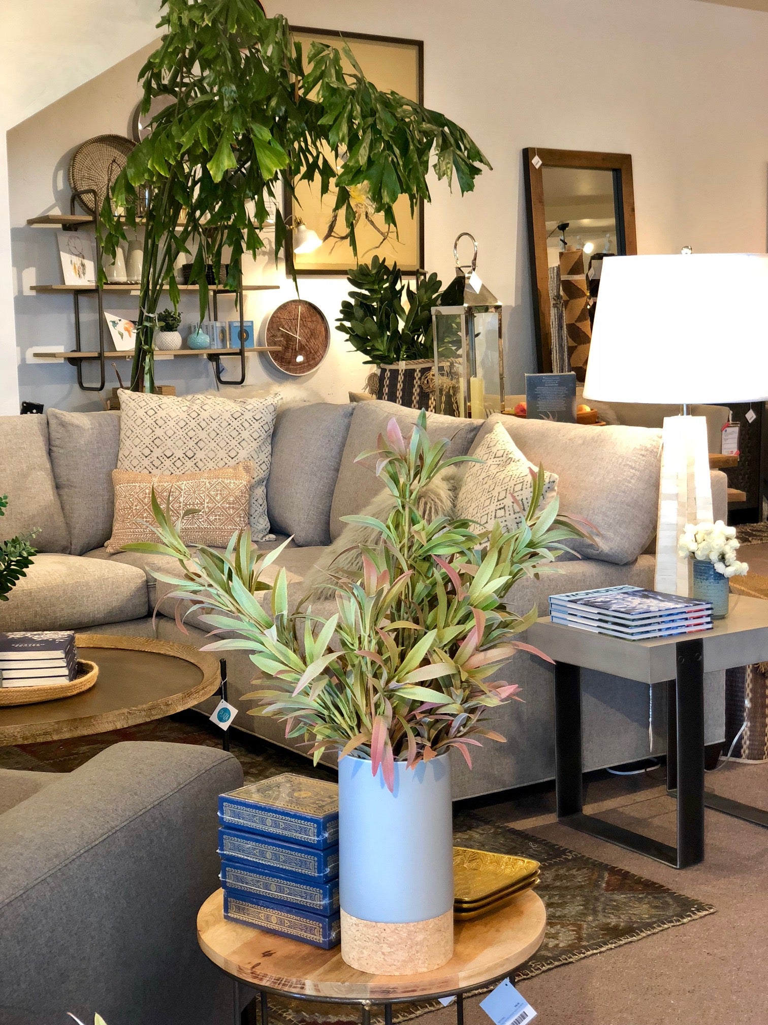 Stockist Highlight: Plaza Arcata - Tree Myriah