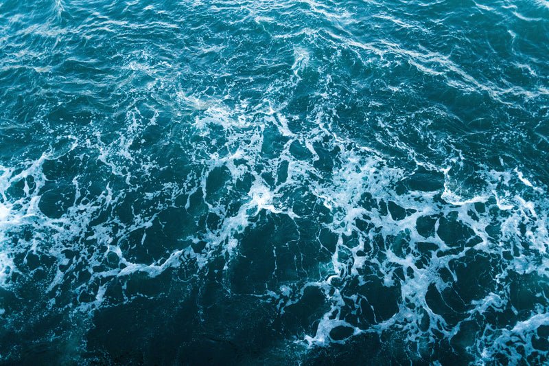 Philanthropy month // Ocean Connectors collaboration - Tree Myriah