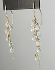 Radiant Moonstone Earrings - Tree Myriah