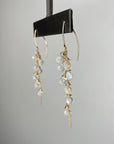 Radiant Moonstone Earrings - Tree Myriah