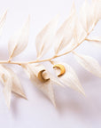 Crescent Moon Studs - Tree Myriah