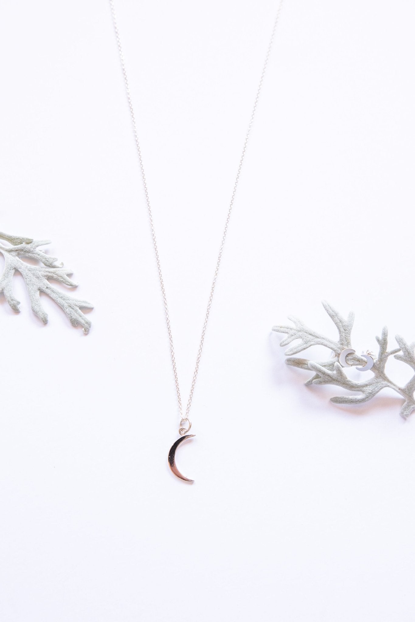 Moon Set – Tree Myriah