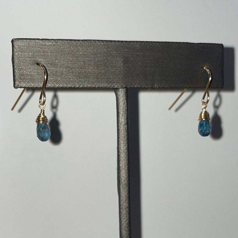 Dainty Kyanite Bree Earrings - Tree Myriah