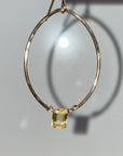 Citrine Hoops - Tree Myriah