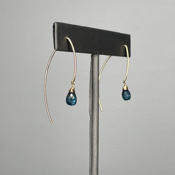 Kyanite Leaf Earrings